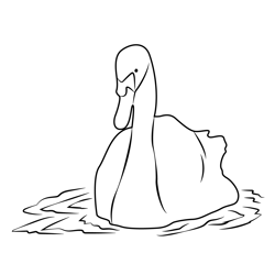 Swan Bird In Water Free Coloring Page for Kids