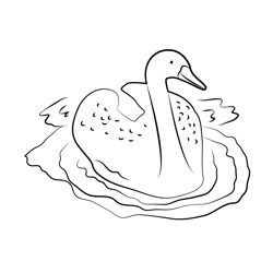 Swan Bird Swimming Free Coloring Page for Kids