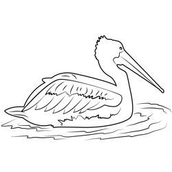 Swan In Water Free Coloring Page for Kids