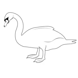 Swan On Meadow Free Coloring Page for Kids