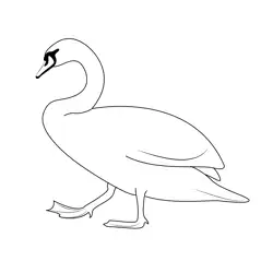 Swan On The Walk Free Coloring Page for Kids