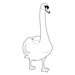 Swan Standing Free Coloring Page for Kids