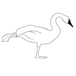 Swan Free Coloring Page for Kids