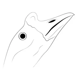 White Goose Lifting Head Free Coloring Page for Kids