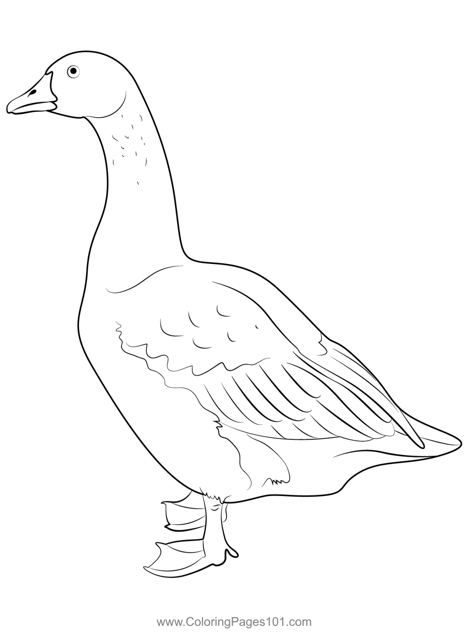 White Goose Coloring Page for Kids - Free Swans and Geese Printable