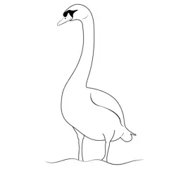 White Swan Bird Free Coloring Page for Kids