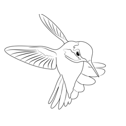 Cute Hummingbird Free Coloring Page for Kids