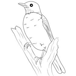 American Robi 3 Free Coloring Page for Kids