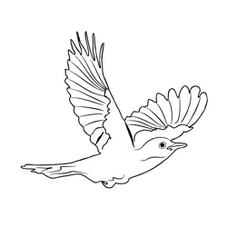 Blackbird 3 Free Coloring Page for Kids