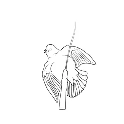 Blackbird 4 Free Coloring Page for Kids