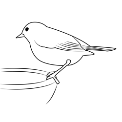 Robin Bird Free Coloring Page for Kids