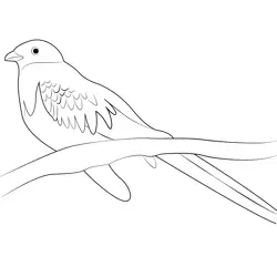 Golden Headed Quetzal Free Coloring Page for Kids