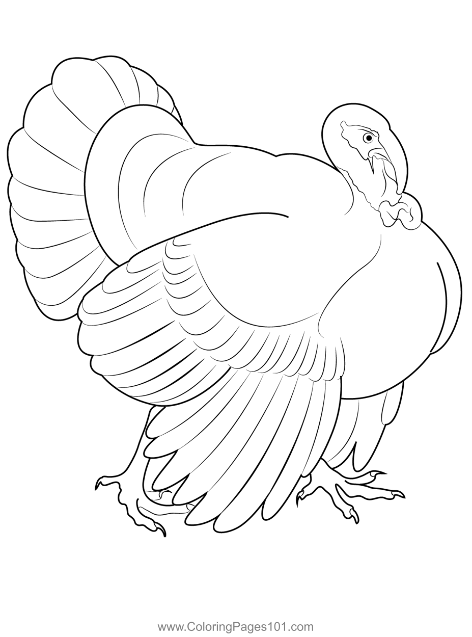 Walking Turkey Coloring Page for Kids - Free Turkeys Printable Coloring