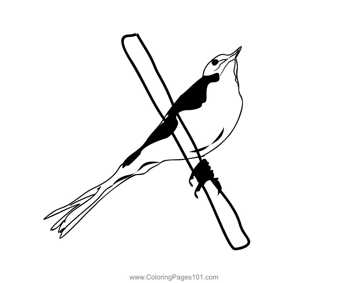 Grey Wagtail 2 Coloring Page For Kids Free Wagtails Printable Grey Wagtail 2 Coloring Page For Kids Free Wagtails Printable