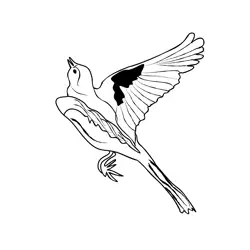 Grey Wagtail 4 Free Coloring Page for Kids