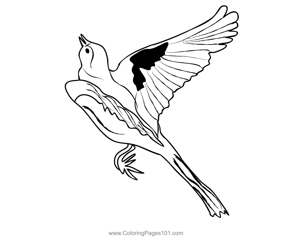 Grey Wagtail 4 Coloring Page For Kids Free Wagtails Printable Grey Wagtail 4 Coloring Page For Kids Free Wagtails Printable