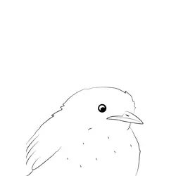 Certti's Warbler 12 Free Coloring Page for Kids