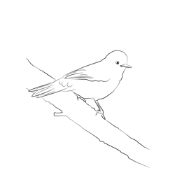 Certti's Warbler 4 Free Coloring Page for Kids