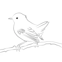 Certti's Warbler 5 Free Coloring Page for Kids