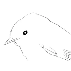 Certti's Warbler 9 Free Coloring Page for Kids