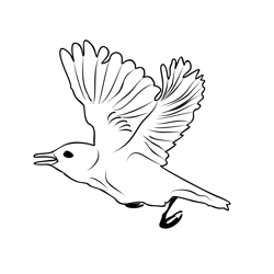 Garden Warbler 5 Free Coloring Page for Kids