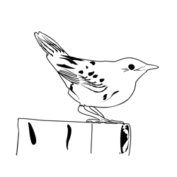 Grasshopper Warbler 2 Free Coloring Page for Kids