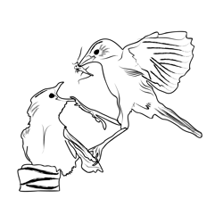 Grasshopper Warbler 3 Free Coloring Page for Kids