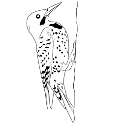 Beautiful Bird Flicker Free Coloring Page for Kids