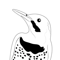 Common Flicker Face Free Coloring Page for Kids