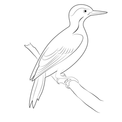 Cute Green Woodpecker Free Coloring Page for Kids