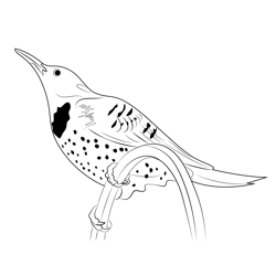 Flicker Free Coloring Page for Kids
