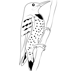 Gilded Flicker Free Coloring Page for Kids