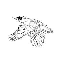 Green Woodpecker 1 Free Coloring Page for Kids