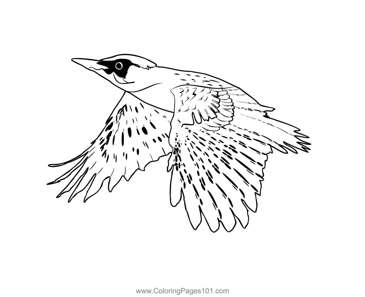 Green Woodpecker 1 Coloring Page for Kids - Free Woodpeckers Printable