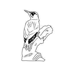 Green Woodpecker 4 Free Coloring Page for Kids