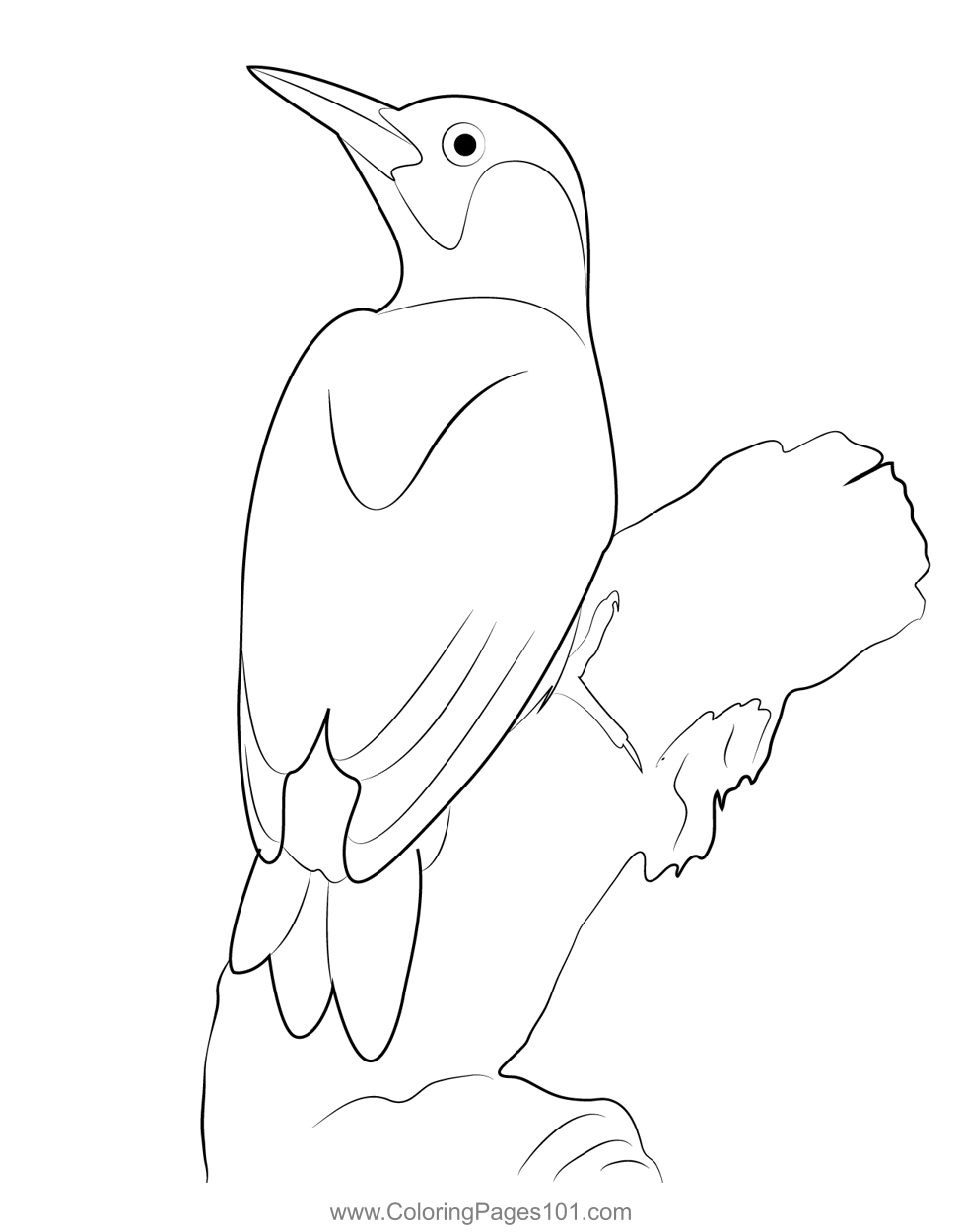 Green Woodpecker Coloring Page for Kids - Free Woodpeckers Printable