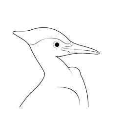 Pileated Woodpecker Head Free Coloring Page for Kids