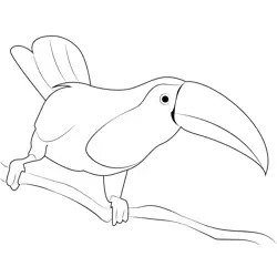 Rainbow Toucan Free Coloring Page for Kids