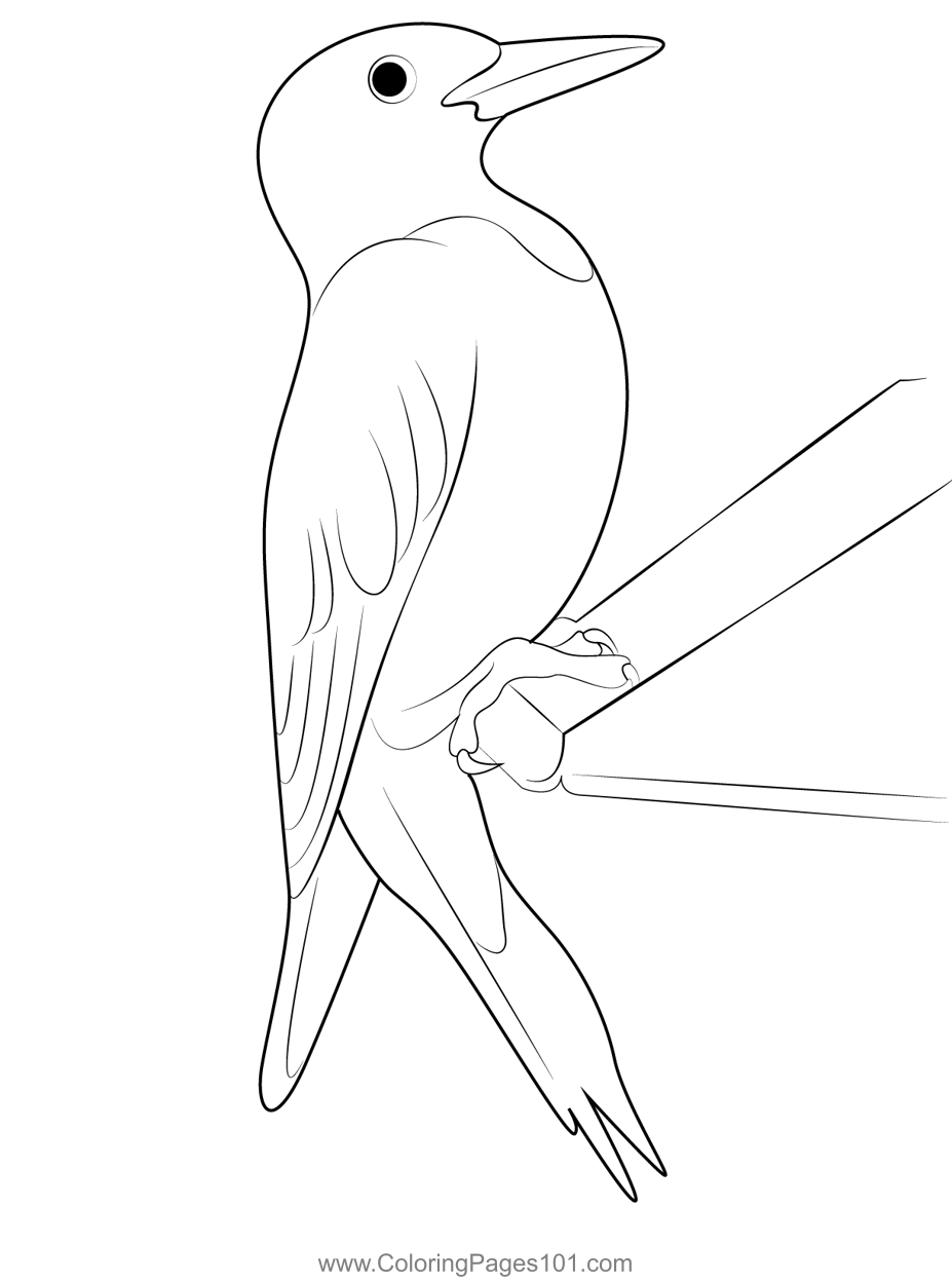 Red Headed Woodpecker Coloring Page for Kids - Free Woodpeckers