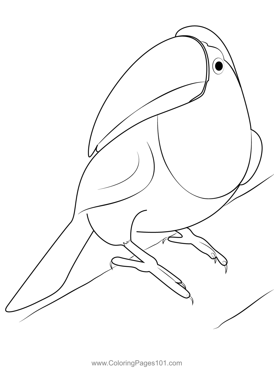 Toucan Bird Coloring Page for Kids - Free Woodpeckers Printable