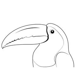 Toucan Head Free Coloring Page for Kids