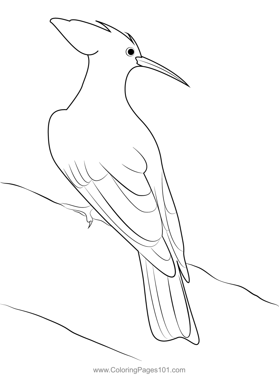 Woodpecker 2 Coloring Page for Kids - Free Woodpeckers Printable