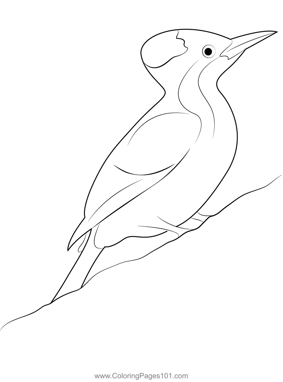 Woodpecker Wallpaper Coloring Page for Kids - Free Woodpeckers