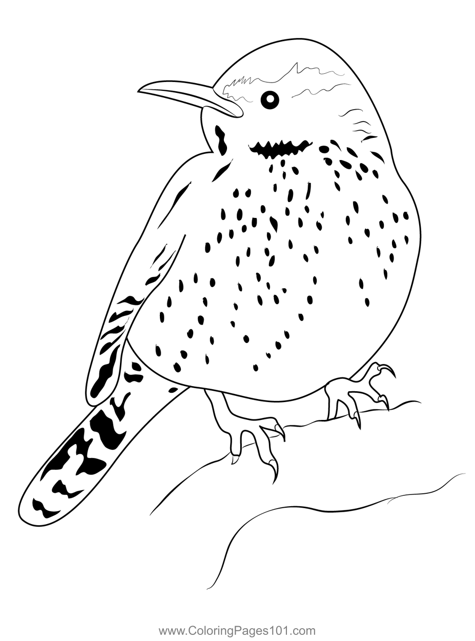 Cactus Wren 7 Coloring Page for Kids - Free Wrens Printable Coloring