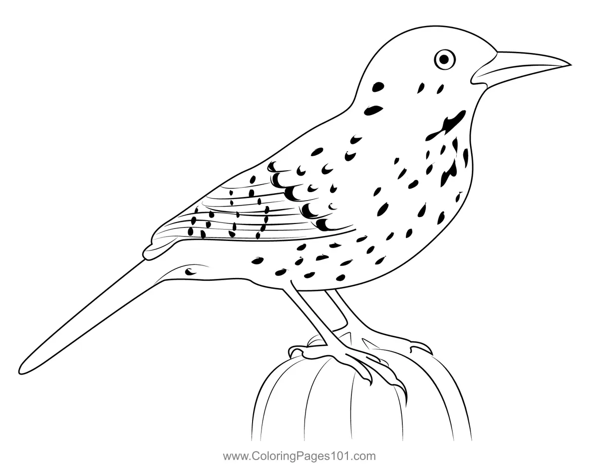 Cactus Wren 9 Coloring Page for Kids - Free Wrens Printable Coloring