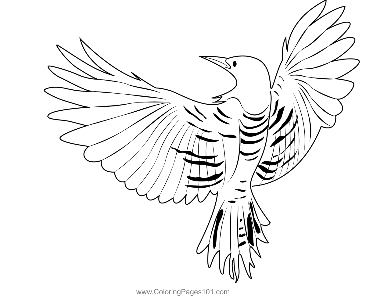 Cactus wren 14 Coloring Page for Kids - Free Wrens Printable Coloring