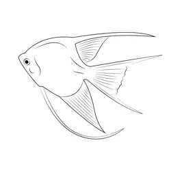 Angel Fish White Free Coloring Page for Kids