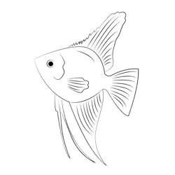 Black Angelfish Free Coloring Page for Kids