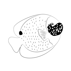 Blueface Angelfish Med Free Coloring Page for Kids