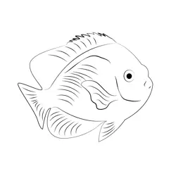 Cocos Lemonpeel Angelfish Free Coloring Page for Kids